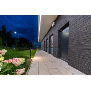 Lanksti Elabrick (Elastolith) plytelė 71x240, spalva Bergen (99639) Kaina už pak.