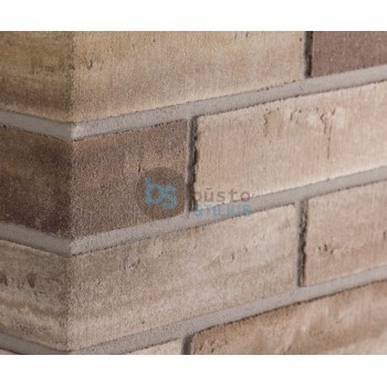 Lanksti Elabrick (Elastolith) plytelė 71x240, spalva Limburg (99613) Kaina už pak.