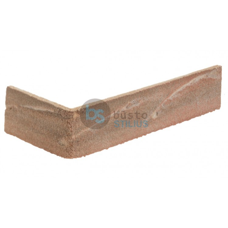 Elabrick kampinė plytelė 50x100/210, spalva Corsica Kaina už pak. (1,5 b.m.)