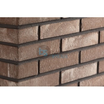 Lanksti Elabrick (Elastolith) plytelė 50x210, spalva Amsterdam Kaina už pak.