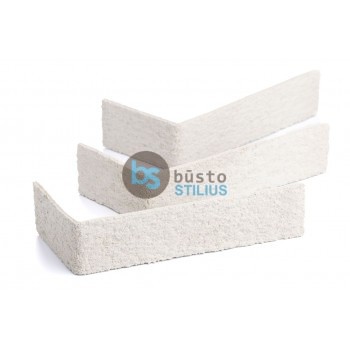 Elabrick kampinė plytelė 50x100/210, spalva Bristol Kaina už pak. (1,5 b.m.)
