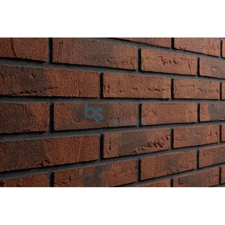 Lanksti Elabrick (Elastolith) plytelė 50x210, spalva Gdansk Kaina už pak.