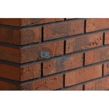 Lanksti Elabrick (Elastolith) plytelė 50x210, spalva Gdansk Kaina už pak.