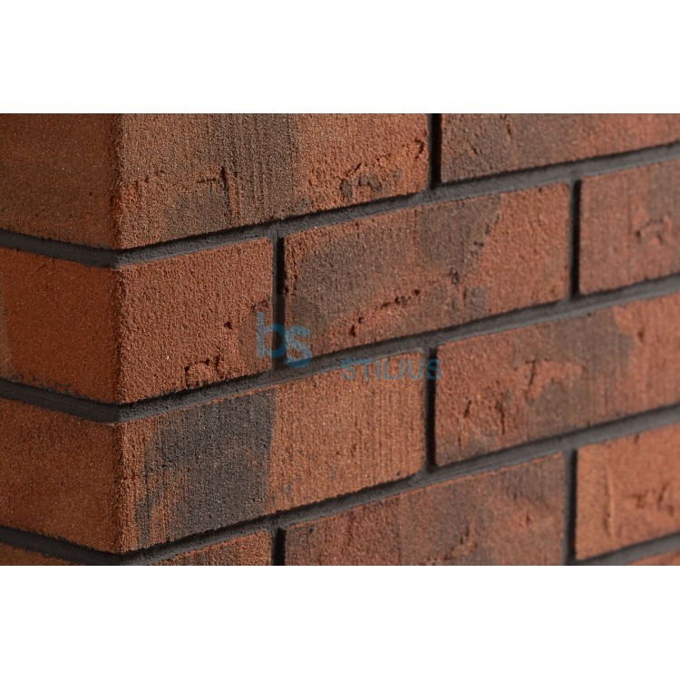 Lanksti Elabrick (Elastolith) plytelė 71x240, spalva Gdansk Kaina už pak.