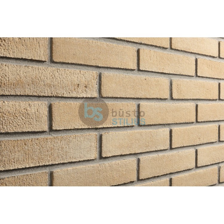 Lanksti Elabrick (Elastolith) plytelė 50x210, spalva Miami (99104) Kaina už pak.