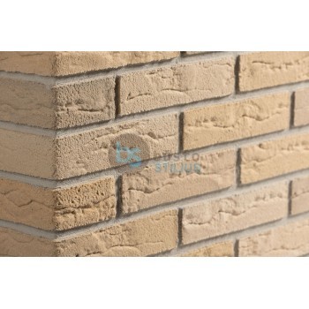 Lanksti Elabrick (Elastolith) plytelė 50x210, spalva Oxford Kaina už pak.