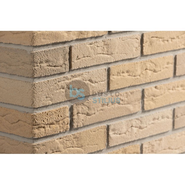Elabrick kampinė plytelė 50x100/210, spalva Oxford Kaina už pak. (1,5 b.m.)