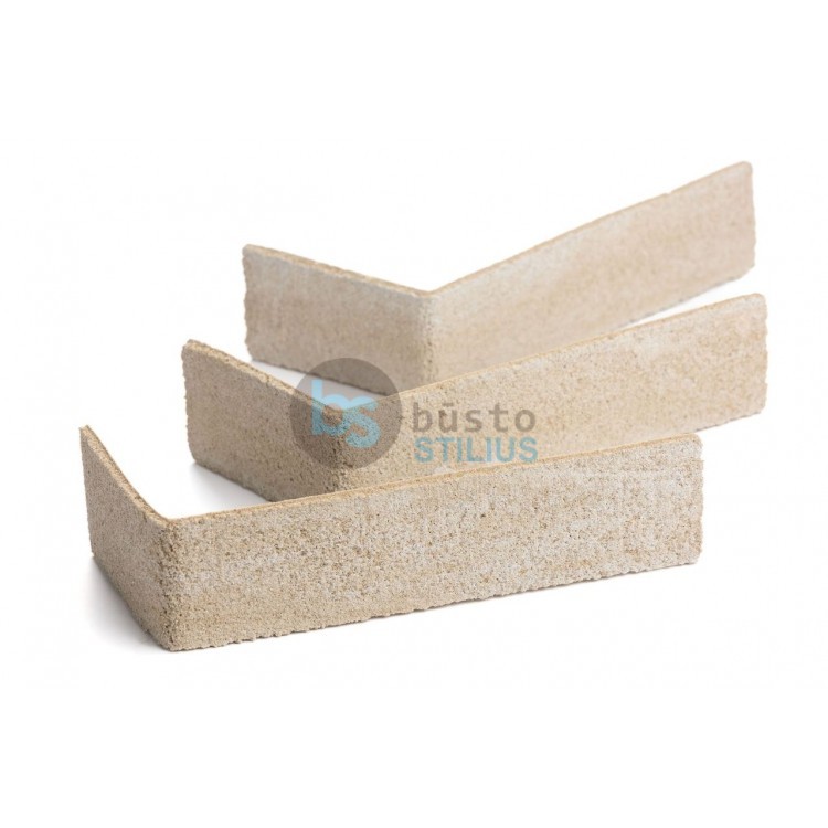 Elabrick kampinė plytelė 50x100/210, spalva Pisa Kaina už pak. (1,5 b.m.)