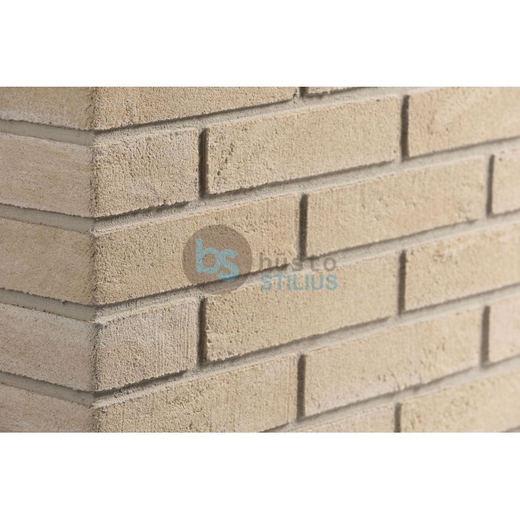 Elabrick kampinė plytelė 50x100/210, spalva Pisa Kaina už pak. (1,5 b.m.)