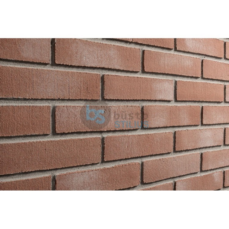 Lanksti Elabrick (Elastolith) plytelė 50x210, spalva Siena (99112) Kaina už pak.