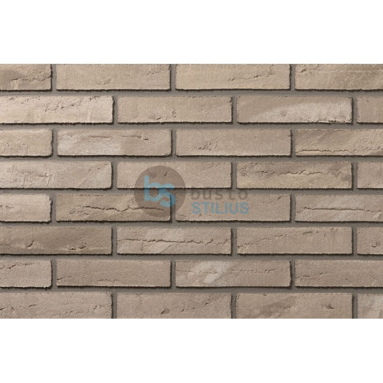 Lanksti Elabrick (Elastolith) plytelė 50x210, spalva Stokholm Kaina už pak.
