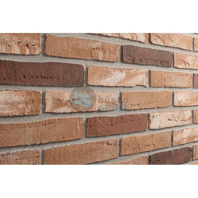 Lanksti Elabrick (Elastolith) plytelė 50x210, spalva Twente Kaina už pak.