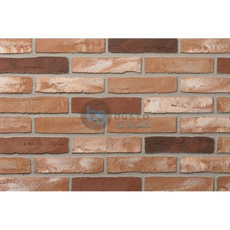 Lanksti Elabrick (Elastolith) plytelė 50x210, spalva Twente Kaina už pak.