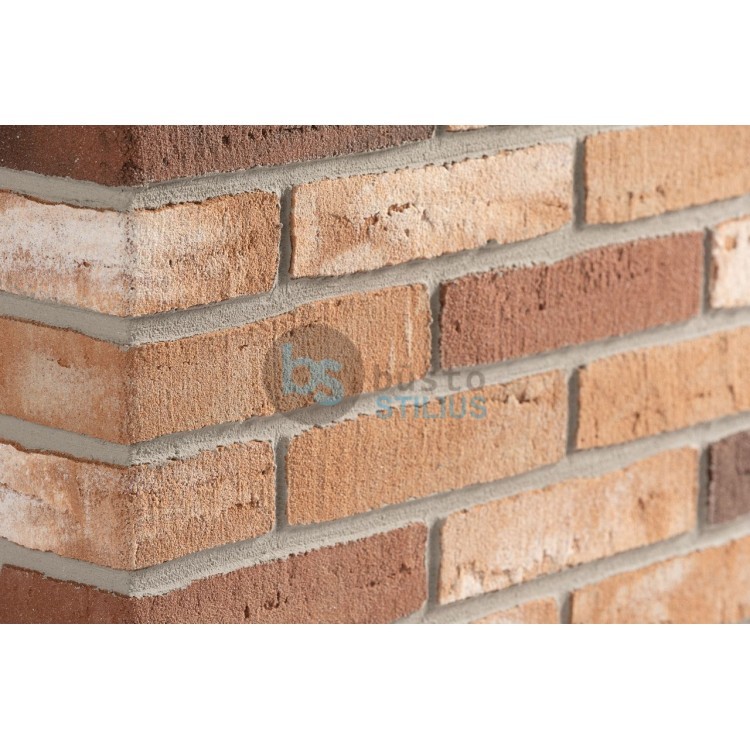 Elabrick kampinė plytelė 50x100/210, spalva Twente Kaina už pak. (1,5 b.m.)