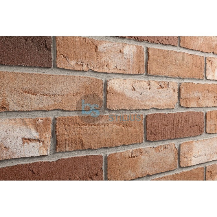 Lanksti Elabrick (Elastolith) plytelė 71x240, spalva Twente Kaina už pak.