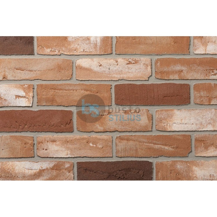 Lanksti Elabrick (Elastolith) plytelė 71x240, spalva Twente Kaina už pak.