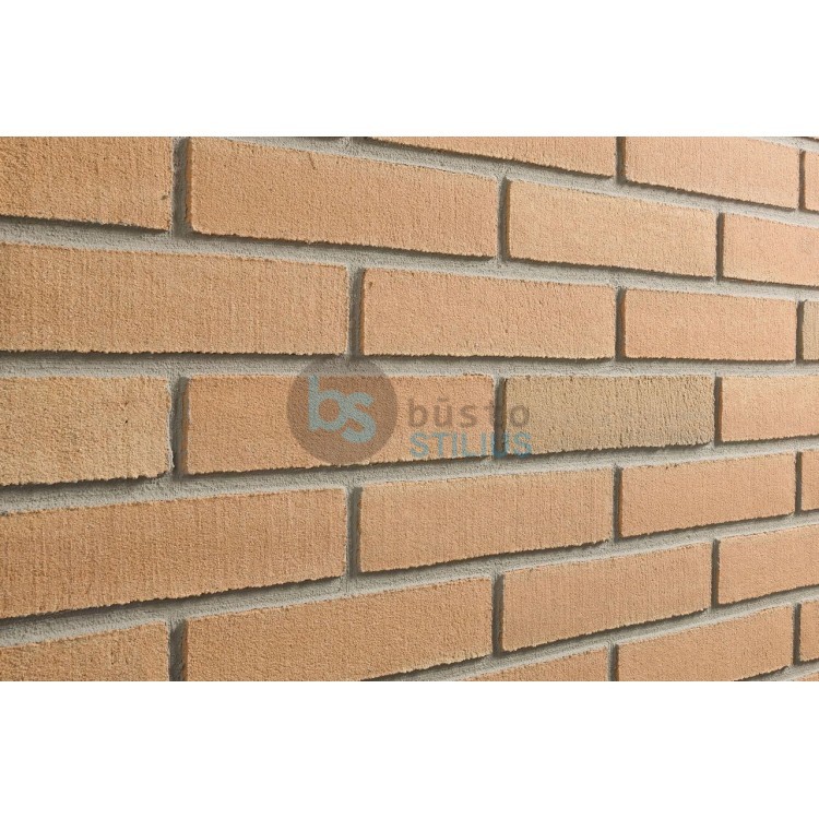 Lanksti Elabrick (Elastolith) plytelė 50x210, spalva Verona (99110) Kaina už pak.