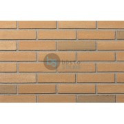 Lanksti Elabrick (Elastolith) plytelė 50x210, spalva Verona (99110) Kaina už pak.