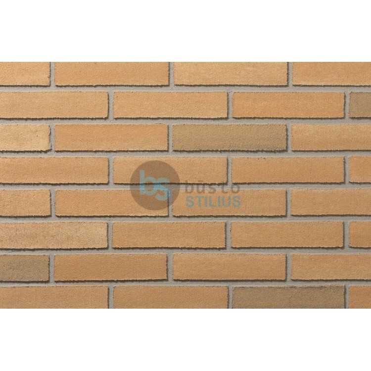 Lanksti Elabrick (Elastolith) plytelė 50x210, spalva Verona (99110) Kaina už pak.