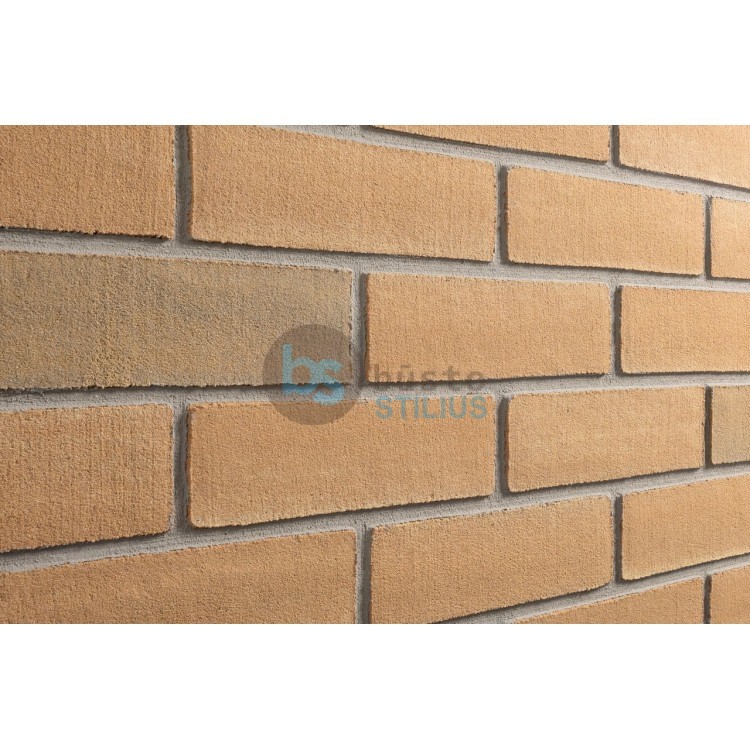 Lanksti Elabrick (Elastolith) plytelė 71x240, spalva Verona Kaina už pak.