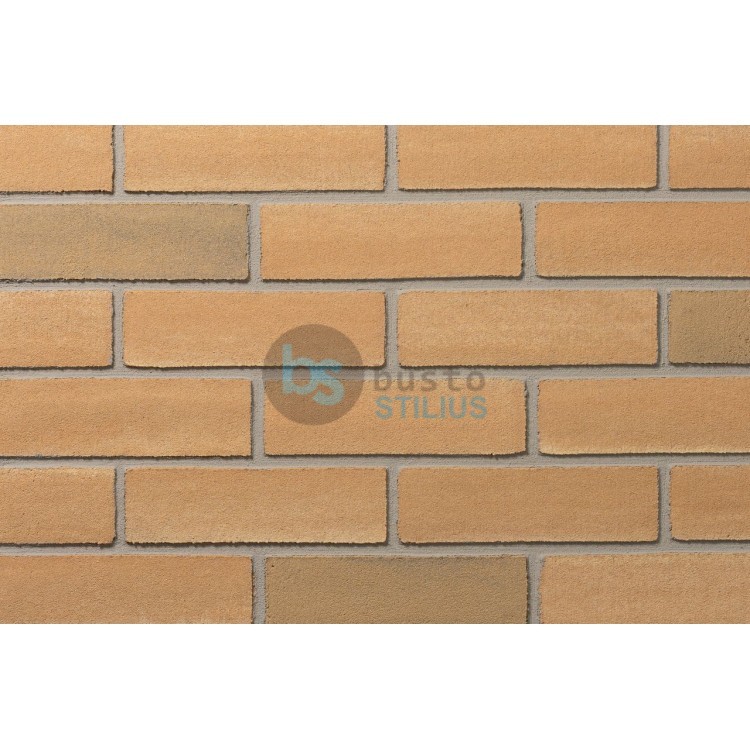 Lanksti Elabrick (Elastolith) plytelė 71x240, spalva Verona Kaina už pak.