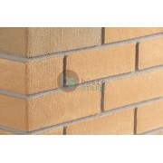 Lanksti Elabrick (Elastolith) plytelė 71x240, spalva Verona Kaina už pak.