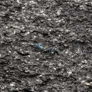 Lankstus akmuo Blackburn201, 2400x1200mm Kaina už lapą