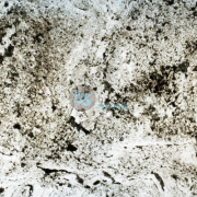 Lankstus akmuo, peršviečiamas Cervin201, 2400x1200mm Kaina už lapą