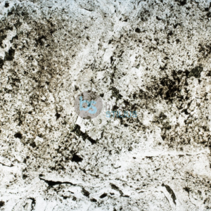 Lankstus akmuo, peršviečiamas Cervin201, 1220x610mm Kaina už lapą
