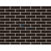 Klinkerio plytelė Onyx black Kaina už pak.