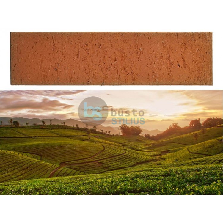 Klinkerio sendinta plytelė Bengali sunrise Kaina už pak.