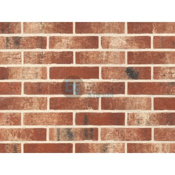 Klinkerio sendinta plytelė Red rock Kaina už pak.