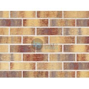 Klinkerio sendinta plytelė Rainbow brick Kaina už pak.