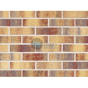 Klinkerio sendinta plytelė Rainbow brick Kaina už pak.