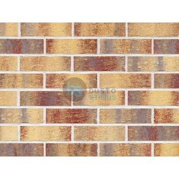 Klinkerio sendinta plytelė Rainbow brick Kaina už pak.