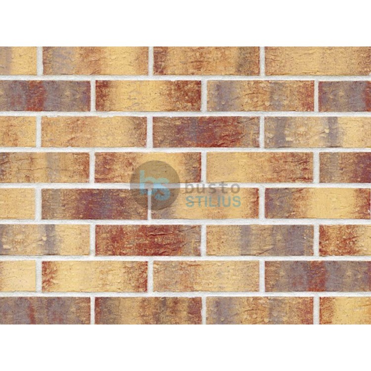 Klinkerio sendinta plytelė Rainbow brick Kaina už pak.