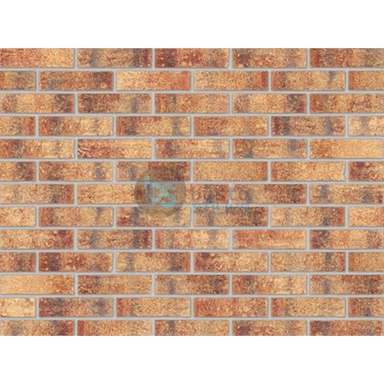 Klinkerio sendinta plytelė Rainbow brick Kaina už pak.