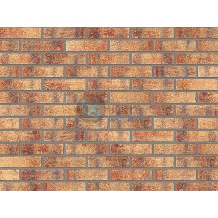Klinkerio sendinta plytelė Rainbow brick Kaina už pak.