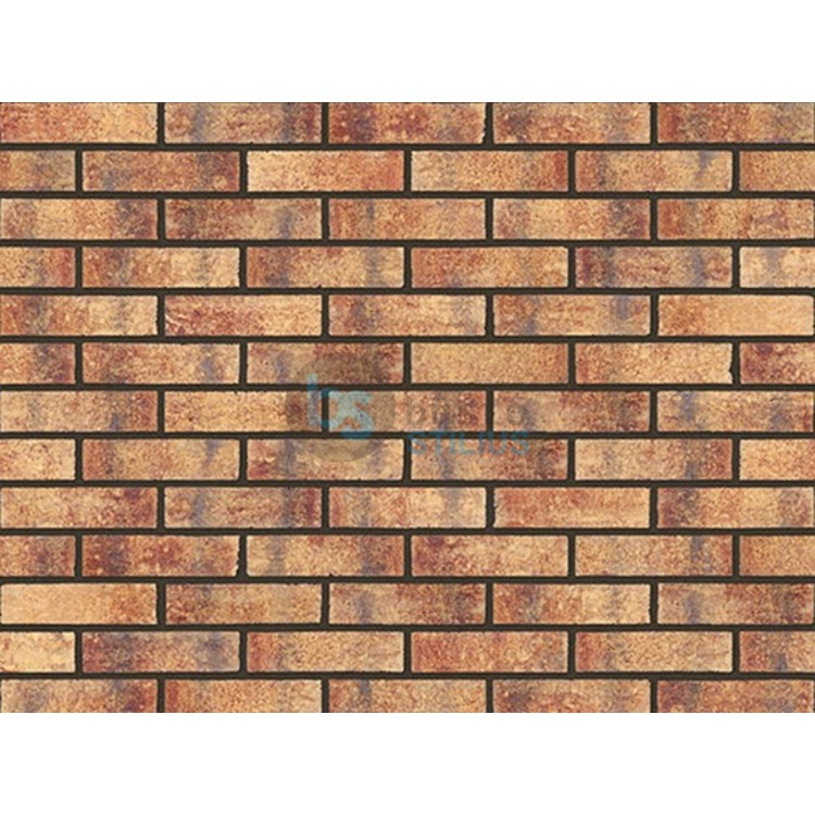 Klinkerio sendinta plytelė Rainbow brick Kaina už pak.
