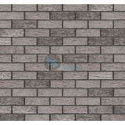 Klinkerio sendinta plytelė Aztec ghost Kaina už pak.
