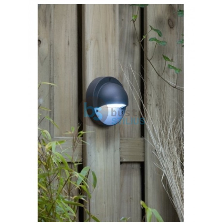 Šviestuvas Deimos 1W LED