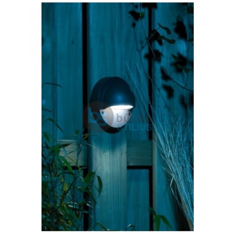 Šviestuvas Deimos 1W LED