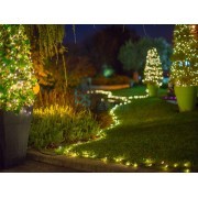Kalėdinė lauko girlianda Linea 100 LED lempučių, 2W